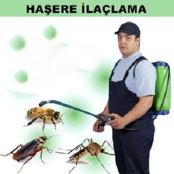 Darende Böcek İlaçlama